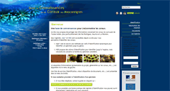 Desktop Screenshot of coraux.univ-reunion.fr